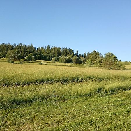 Villa Cicho Sza Czarna Gora Bagian luar foto