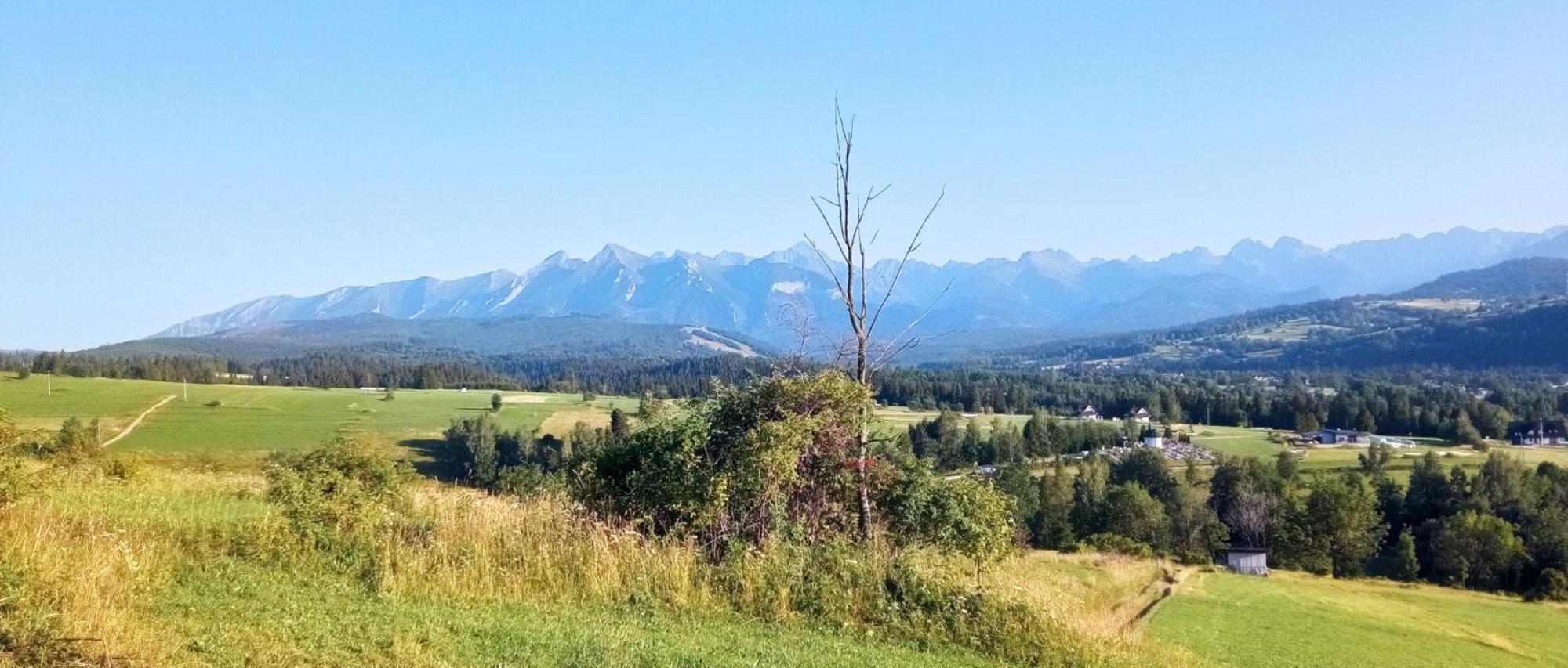 Villa Cicho Sza Czarna Gora Bagian luar foto