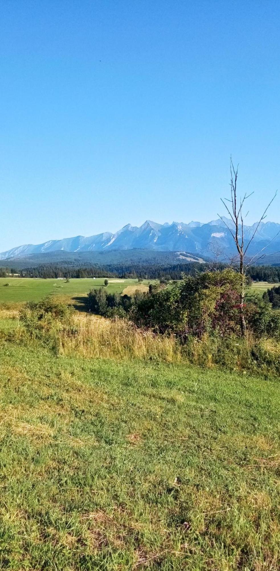 Villa Cicho Sza Czarna Gora Bagian luar foto