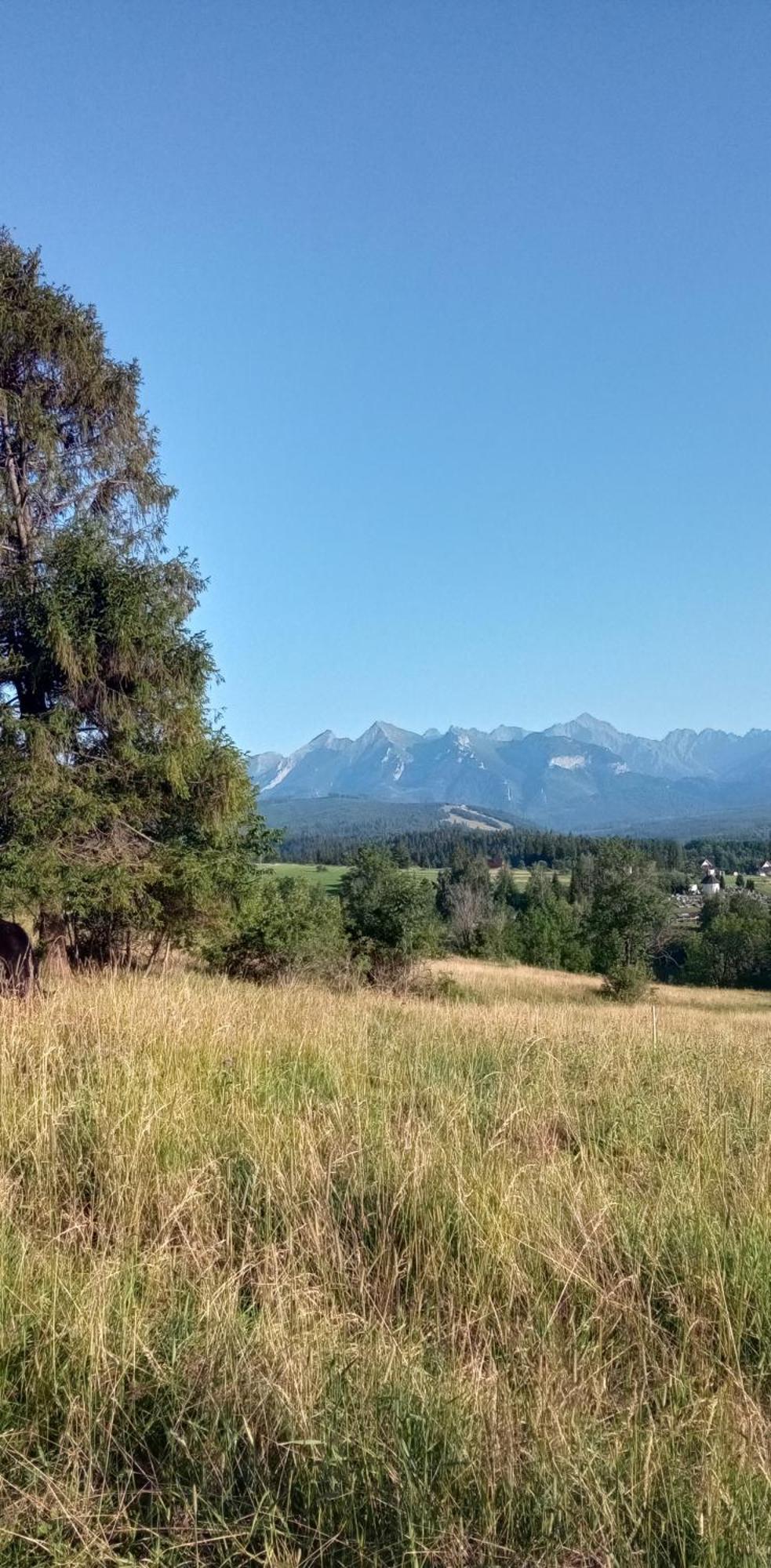 Villa Cicho Sza Czarna Gora Bagian luar foto